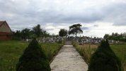 Friedhof 2017