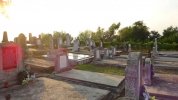 Friedhof 2017