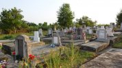 Friedhof 2017