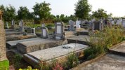 Friedhof 2017
