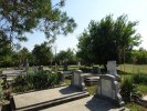 Friedhof -23.08.19