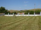Friedhof -23.08.19