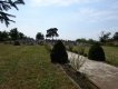 Friedhof 2015