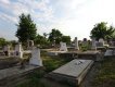 Friedhof 2015