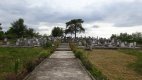 Friedhof 2017