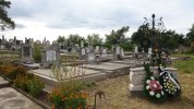Friedhof 2017