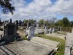 Friedhof -09.2018