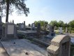 Friedhof -23.08.19