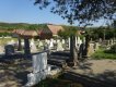 Friedhof -23.08.19